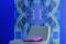 GLOBALOVE_55035_55058